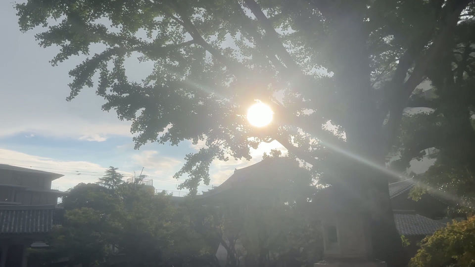11月上旬 僧伽の風景
